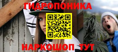 ПСИЛОЦИБИНОВЫЕ ГРИБЫ Вязники