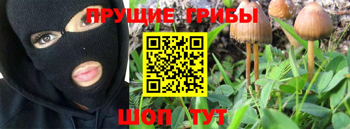 Галлюциногенные грибы мухоморы Дмитров