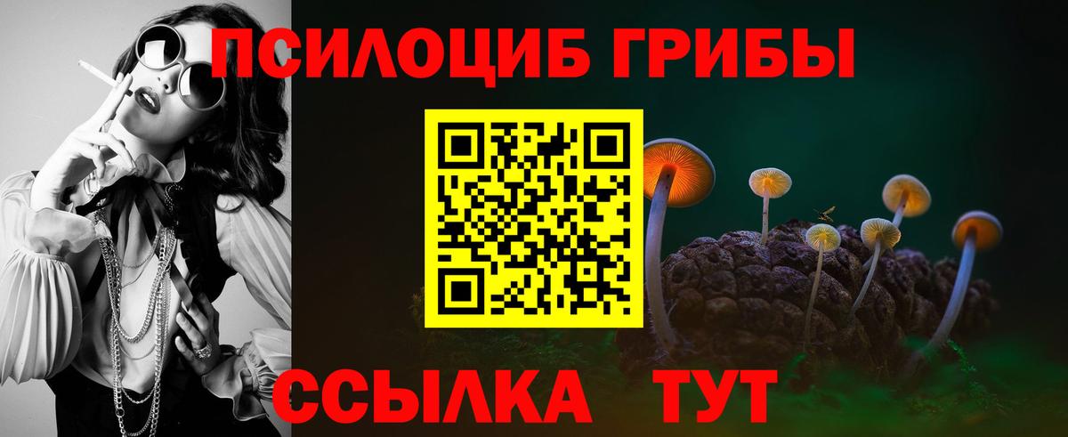 Псилоцибиновые грибы мухоморы  Псилоцибиновые грибы Cubensis  Дмитров  магазин продажи наркотиков  Вход с VPN 